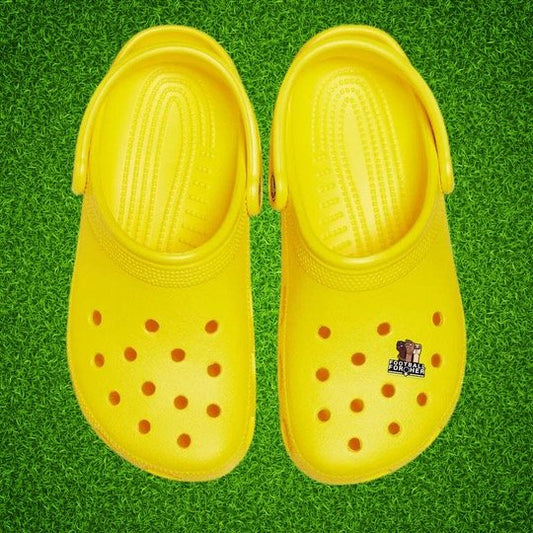 Croc Charms